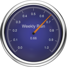 Custom Gauge customgauge11.png